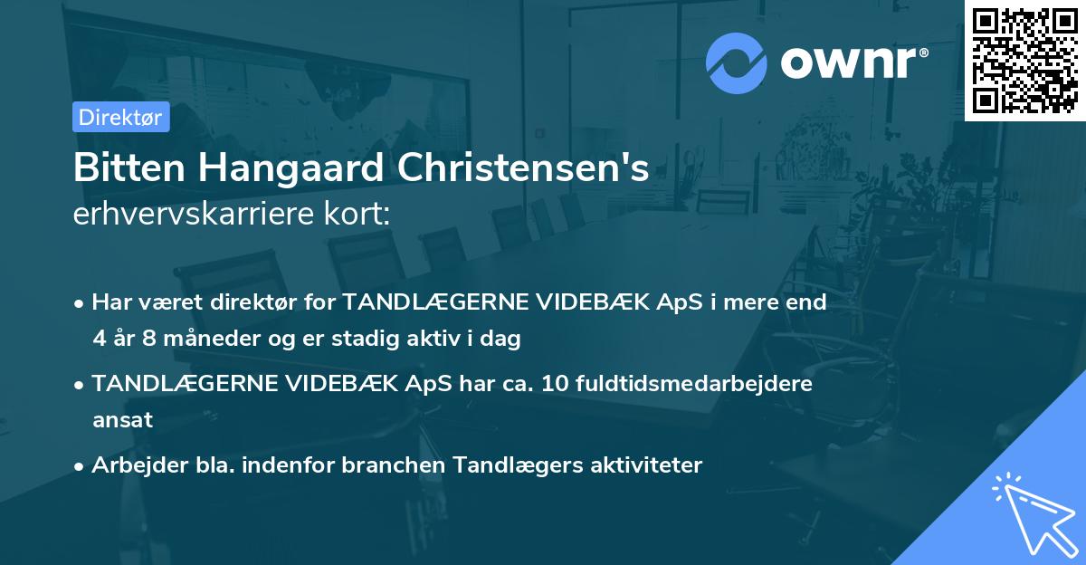 Bitten Hangaard Christensen's erhvervskarriere kort