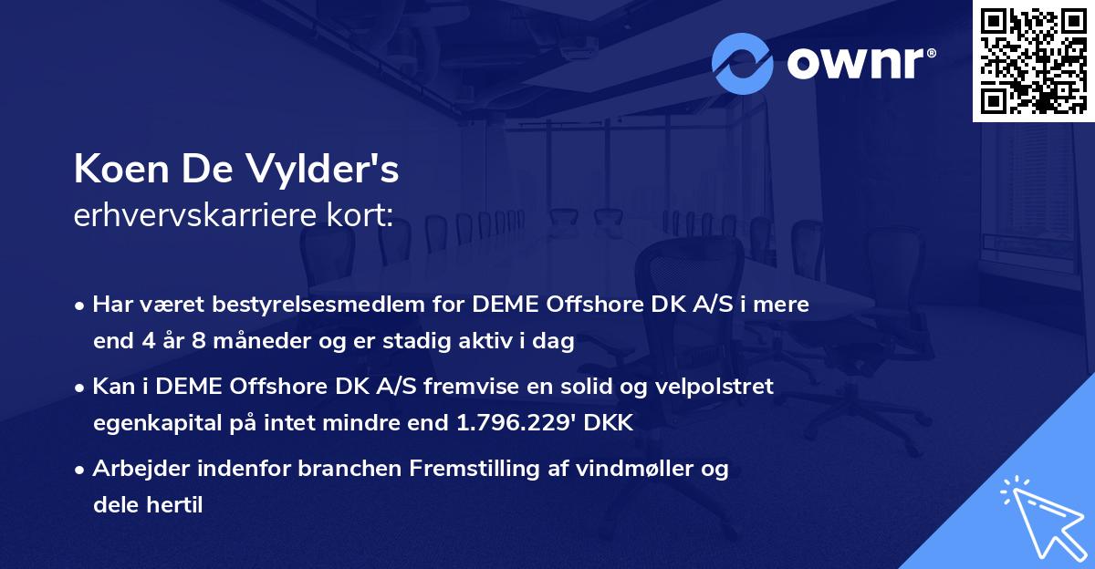 Koen De Vylder's erhvervskarriere kort