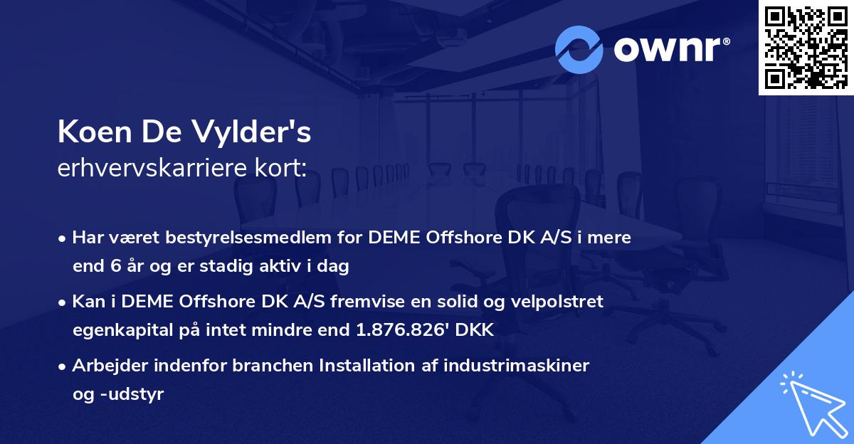 Koen De Vylder's erhvervskarriere kort