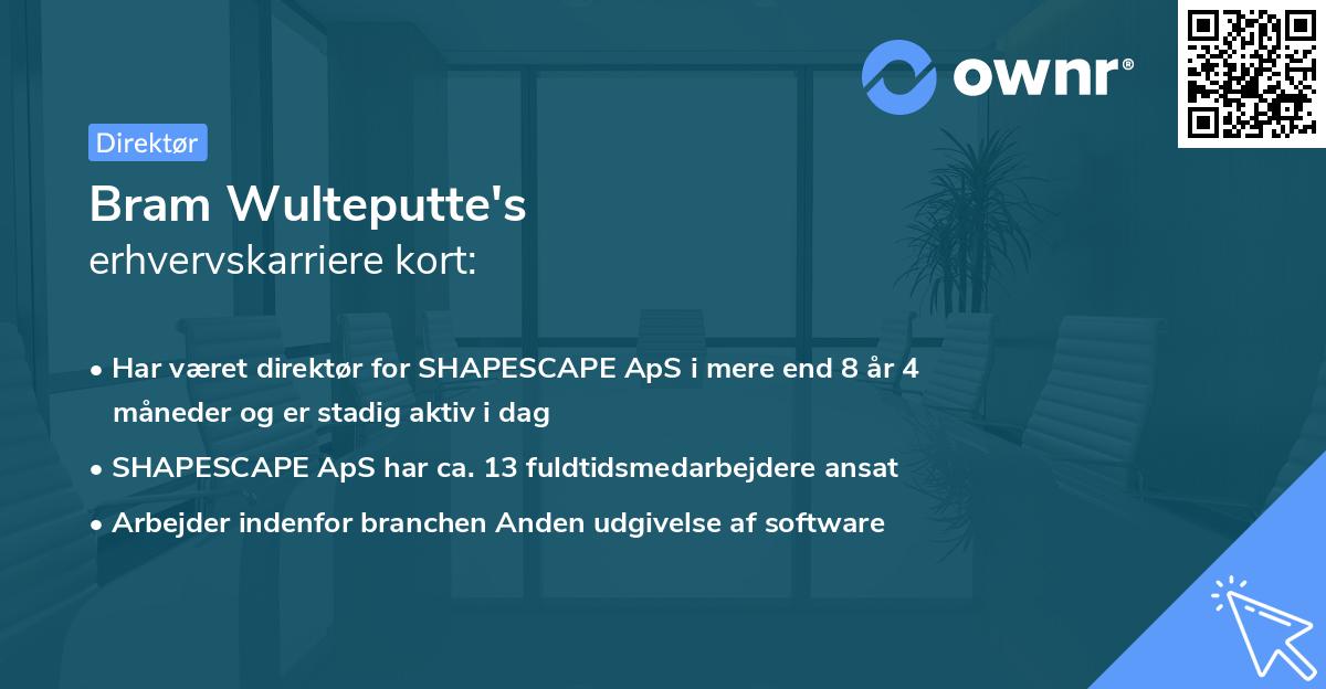 Bram Wulteputte's erhvervskarriere kort