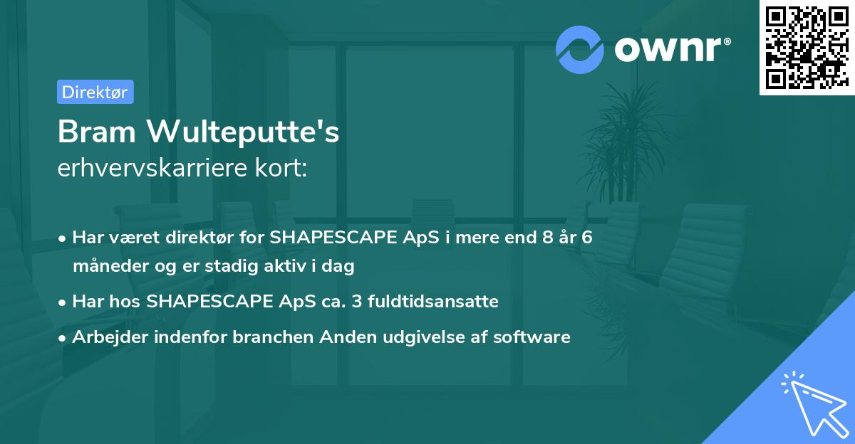 Bram Wulteputte's erhvervskarriere kort