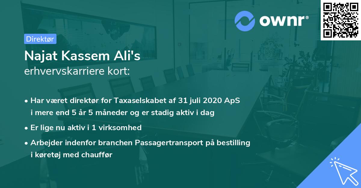 Najat Kassem Ali's erhvervskarriere kort