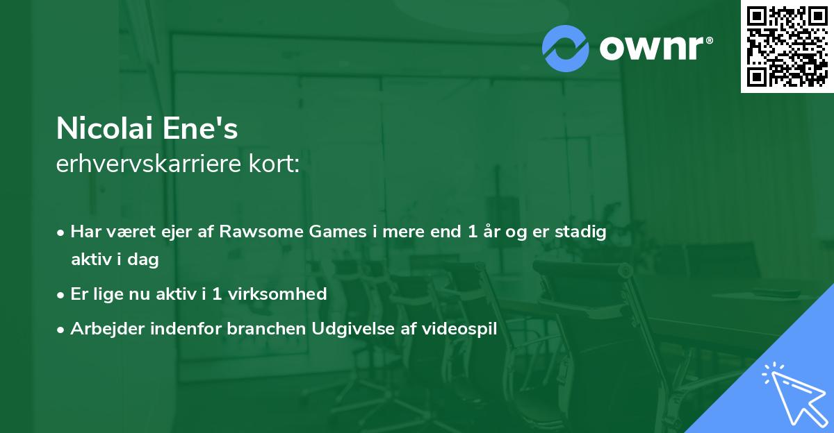 Nicolai Ene's erhvervskarriere kort