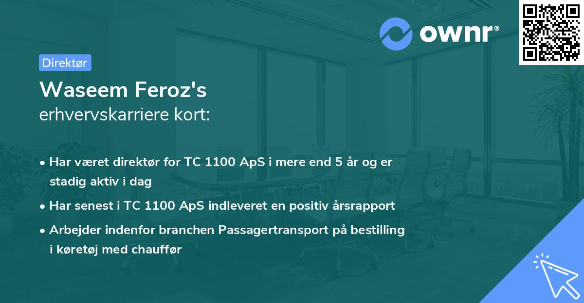 Waseem Feroz's erhvervskarriere kort