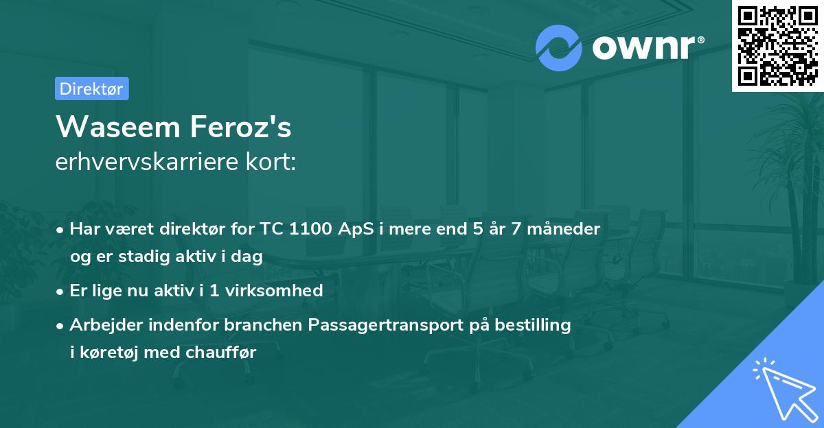 Waseem Feroz's erhvervskarriere kort