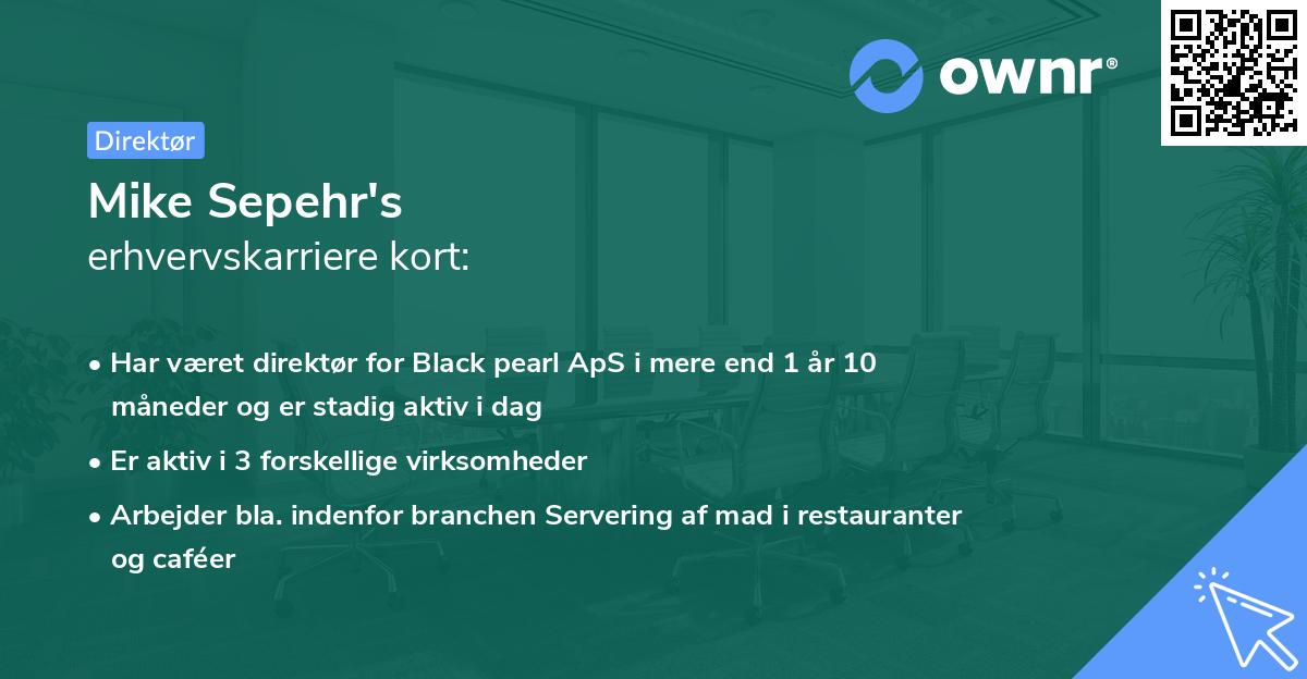 Mike Sepehr's erhvervskarriere kort