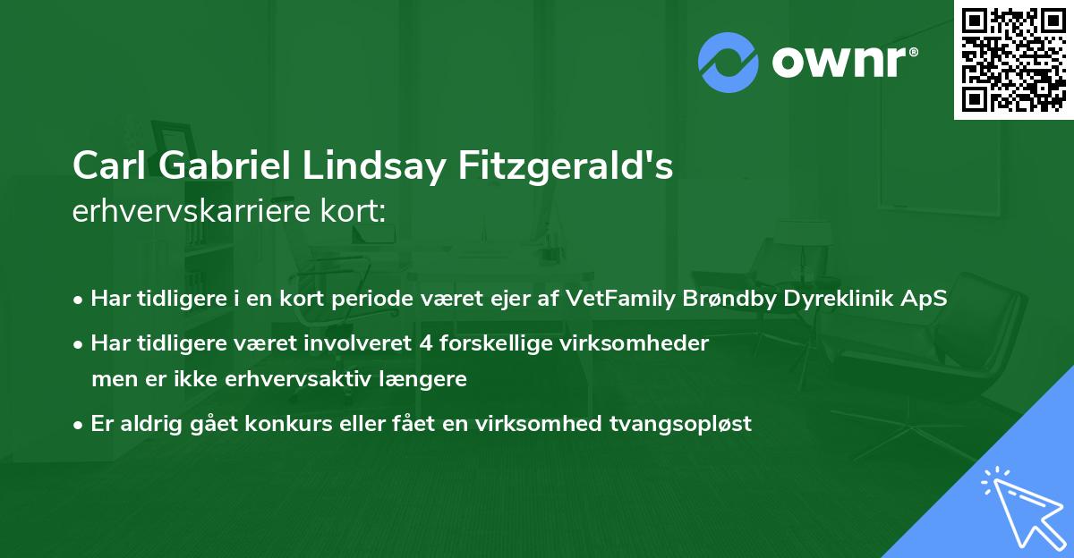 Carl Gabriel Lindsay Fitzgerald's erhvervskarriere kort