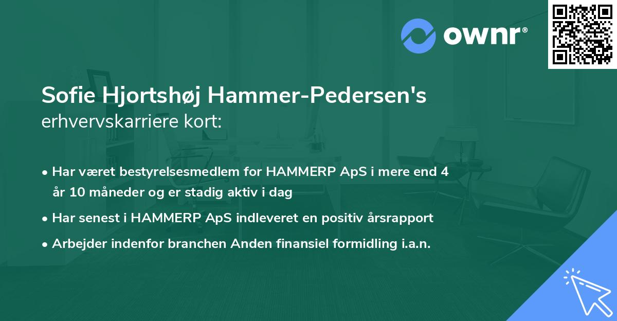 Sofie Hjortshøj Hammer-Pedersen's erhvervskarriere kort