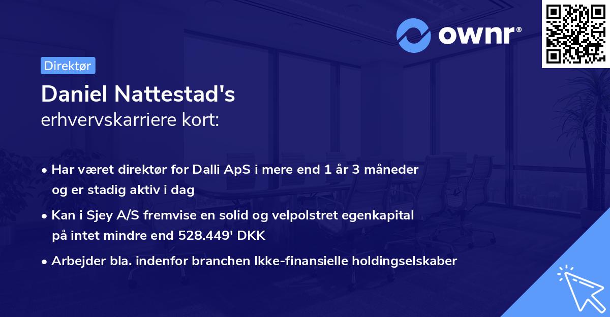 Daniel Nattestad's erhvervskarriere kort