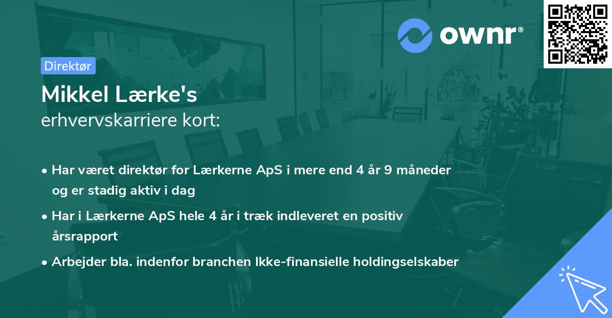 Mikkel Lærke's erhvervskarriere kort