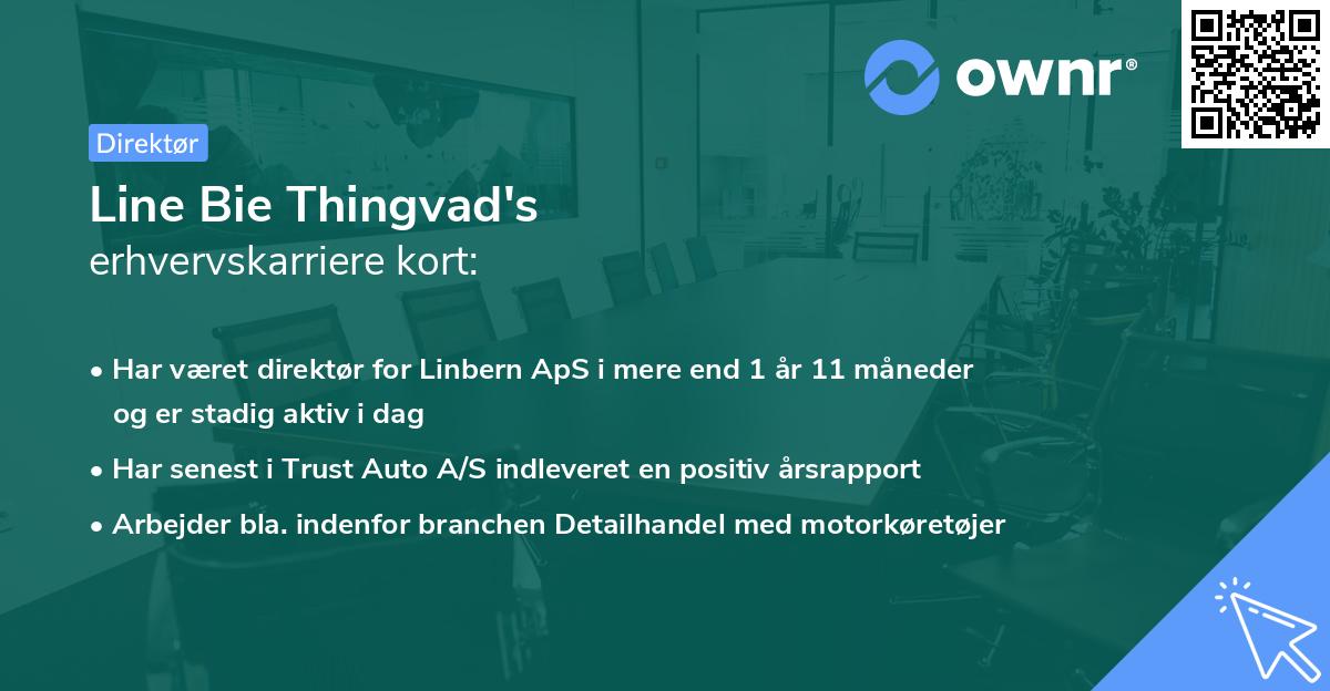 Line Bie Thingvad's erhvervskarriere kort