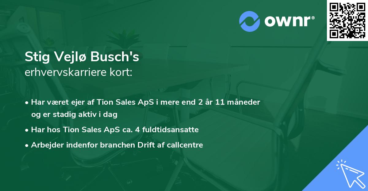 Stig Vejlø Busch's erhvervskarriere kort