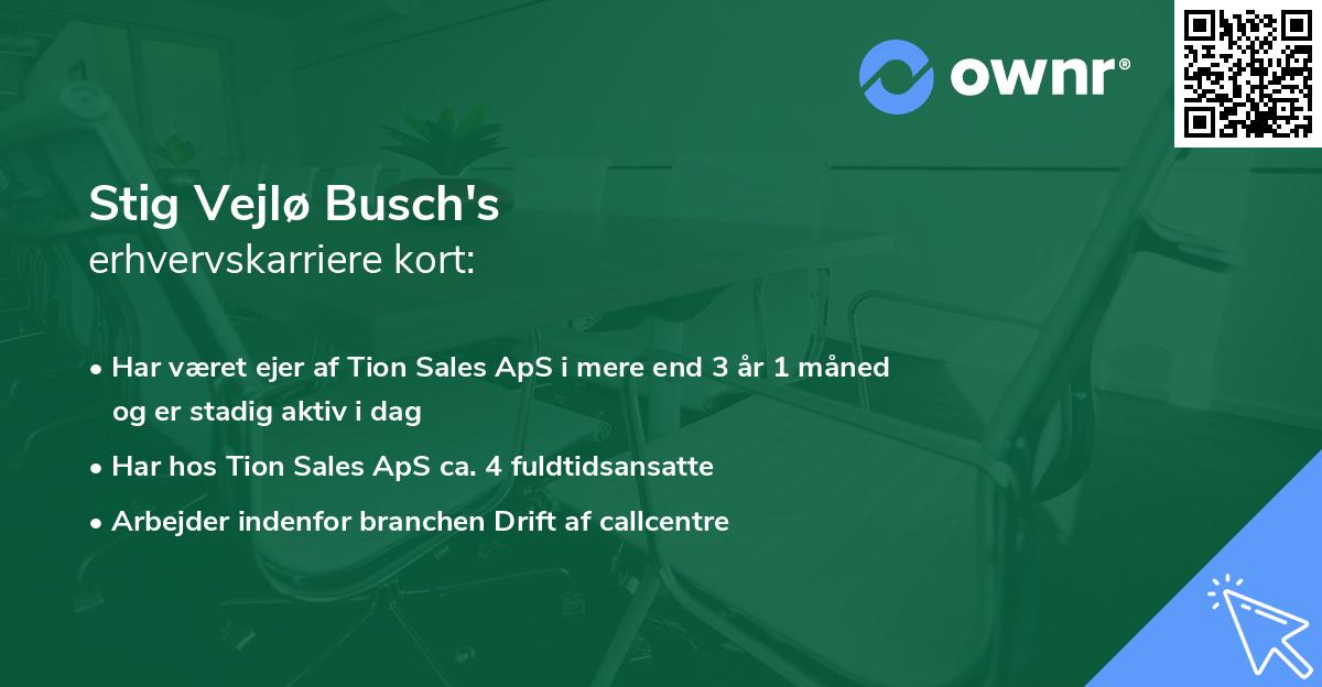 Stig Vejlø Busch's erhvervskarriere kort