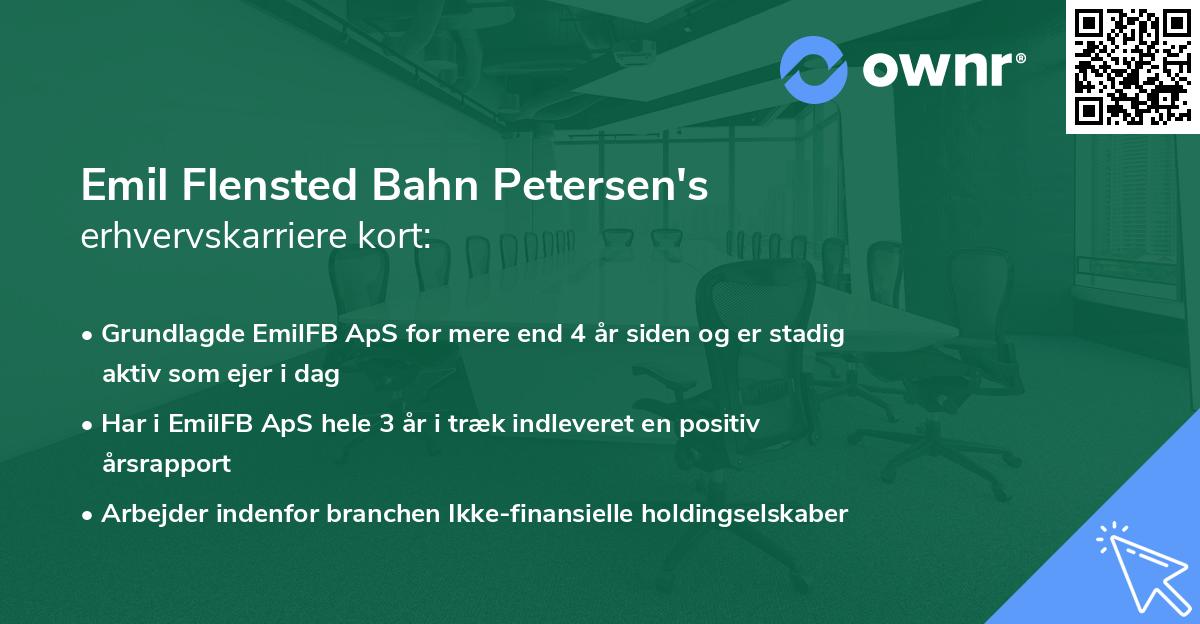 Emil Flensted Bahn Petersen's erhvervskarriere kort