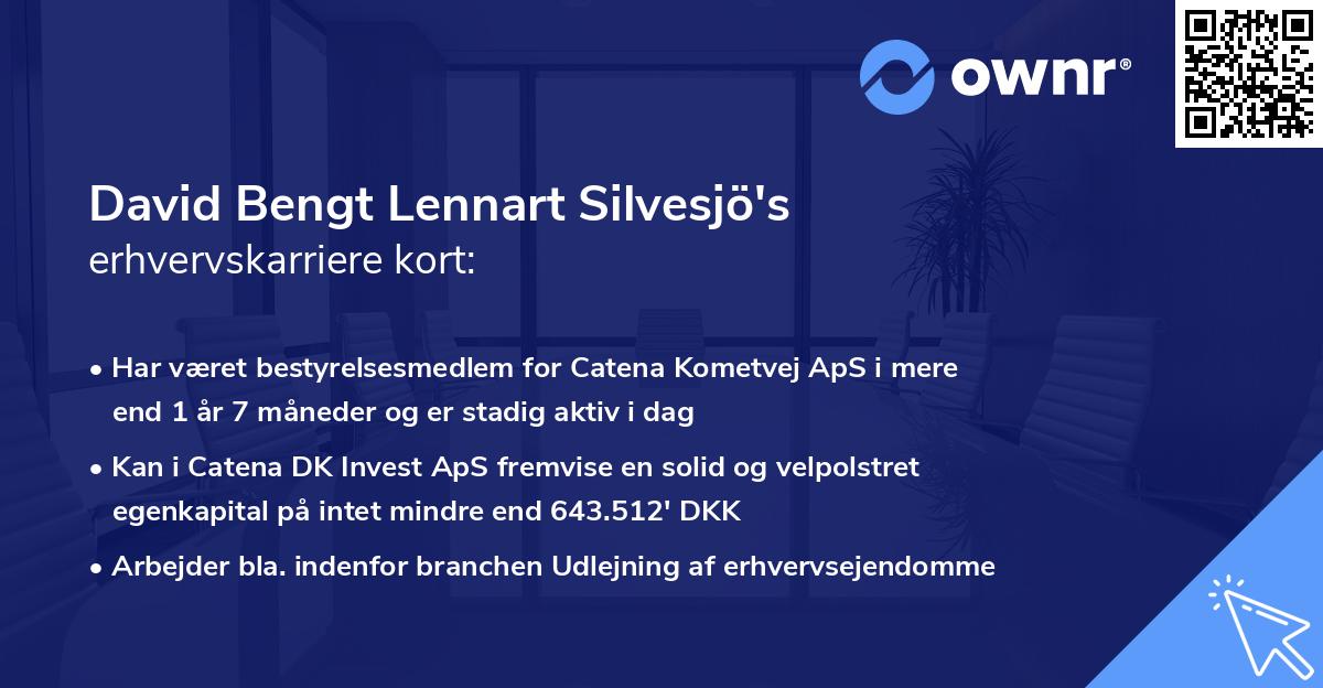 David Bengt Lennart Silvesjö's erhvervskarriere kort