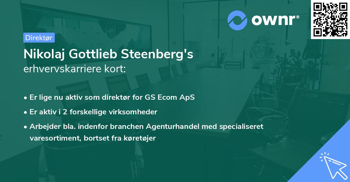 Nikolaj Gottlieb Steenberg's erhvervskarriere kort