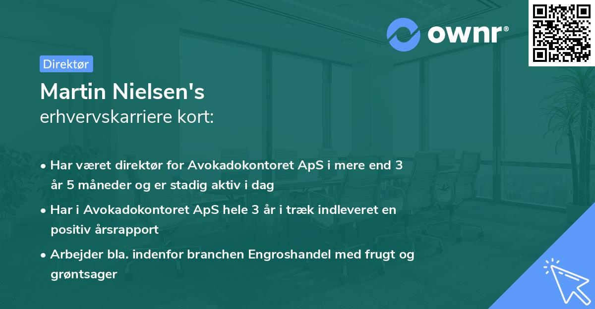Martin Nielsen's erhvervskarriere kort