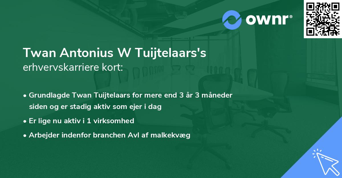 Twan Antonius W Tuijtelaars's erhvervskarriere kort