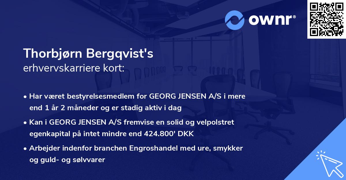 Thorbjørn Bergqvist's erhvervskarriere kort