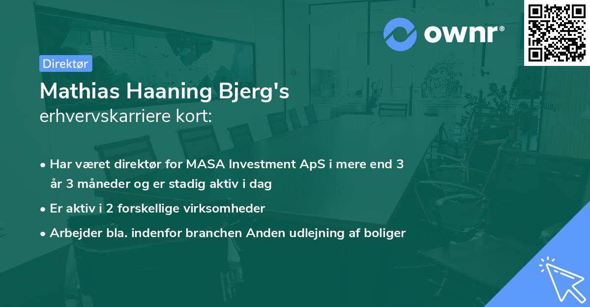 Mathias Haaning Bjerg's erhvervskarriere kort