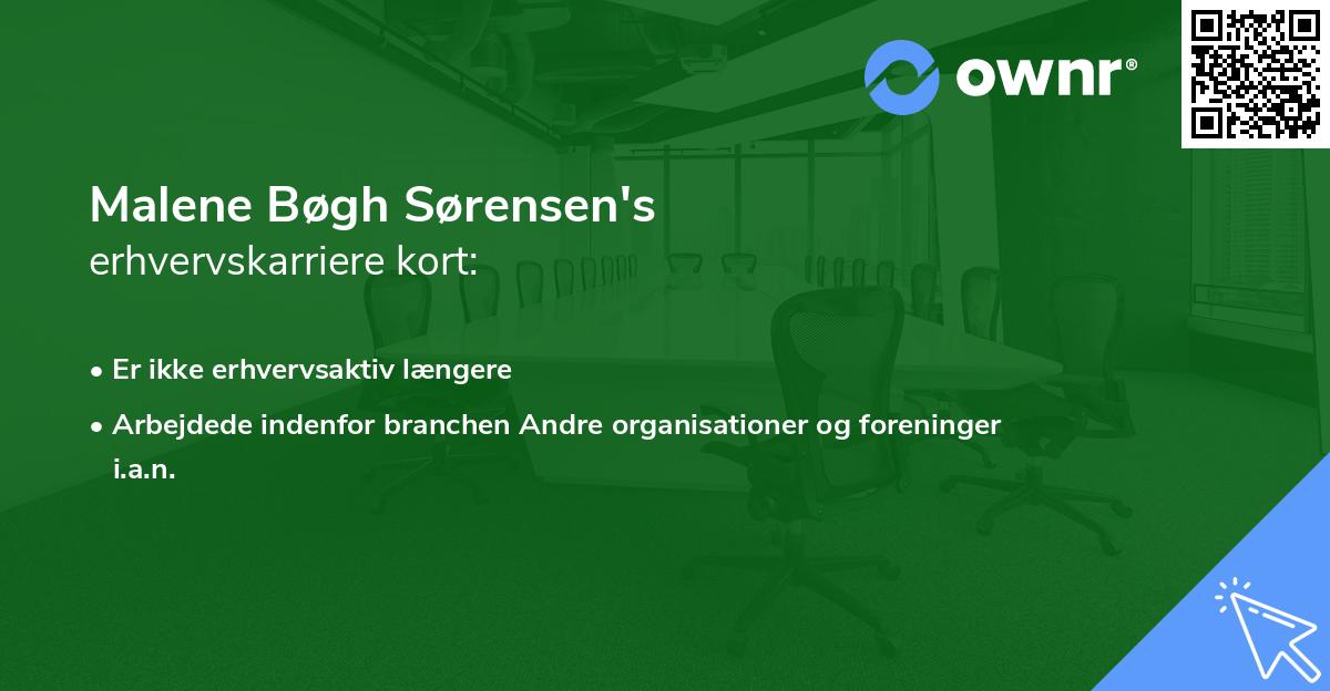 Malene Bøgh Sørensen's erhvervskarriere kort