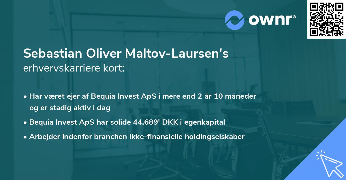 Sebastian Oliver Maltov-Laursen's erhvervskarriere kort