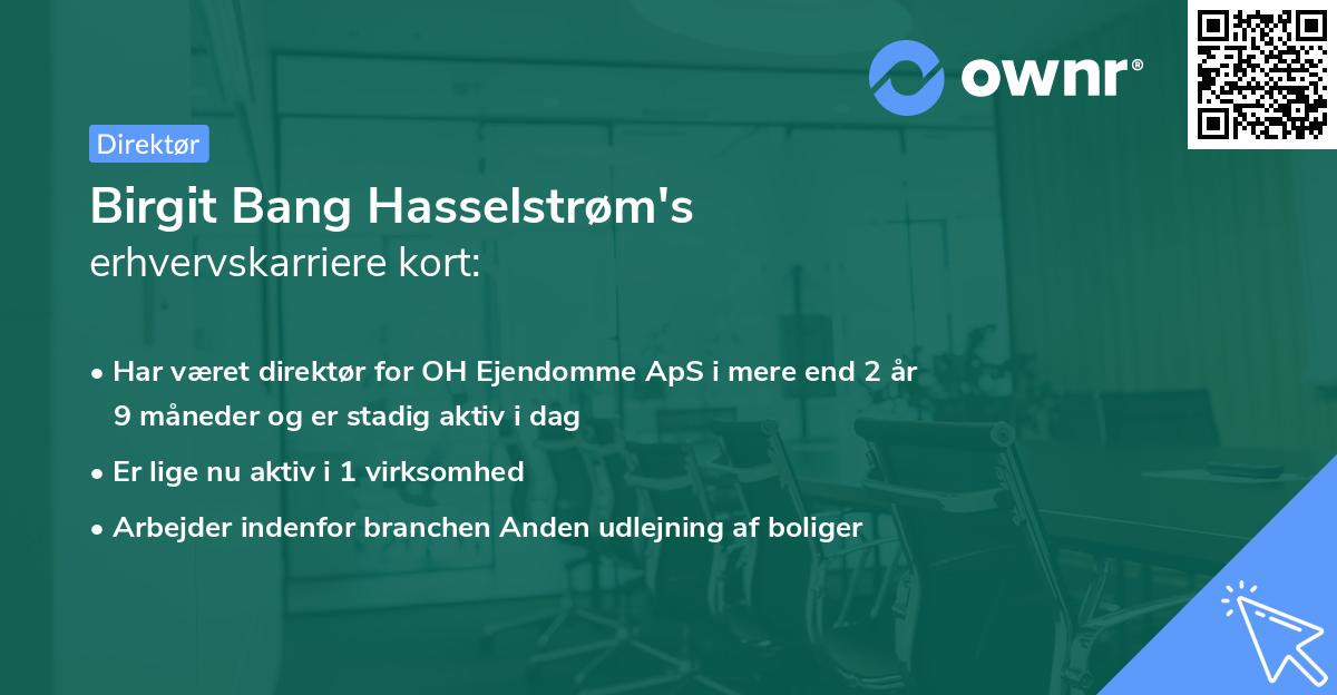 Birgit Bang Hasselstrøm's erhvervskarriere kort