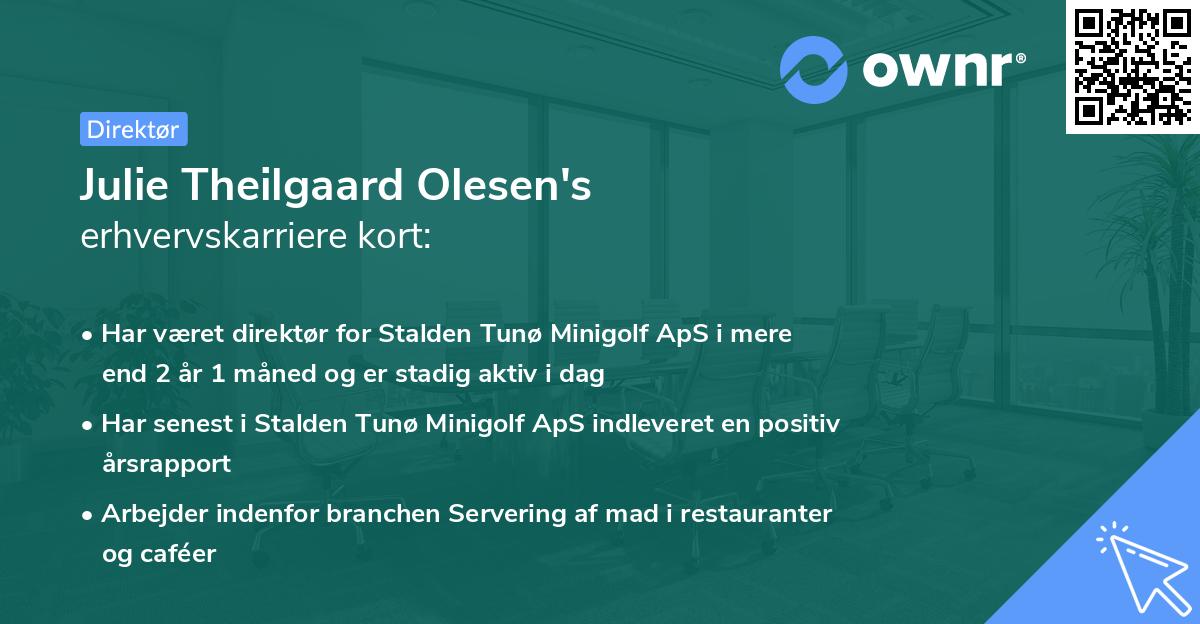 Julie Theilgaard Olesen's erhvervskarriere kort