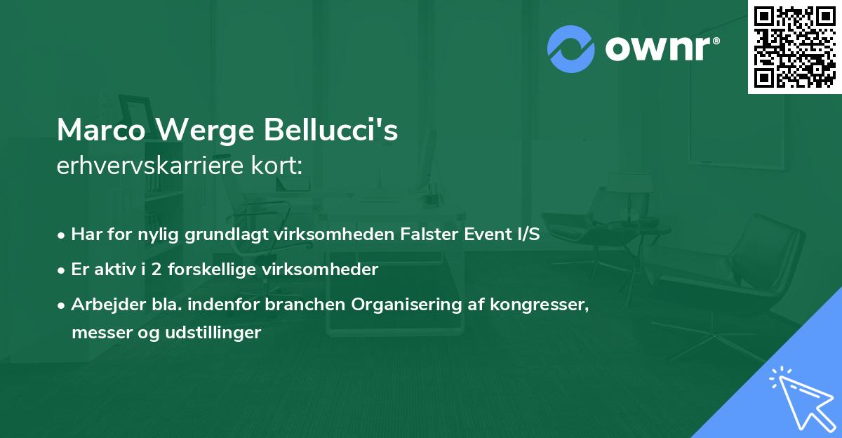 Marco Werge Bellucci's erhvervskarriere kort
