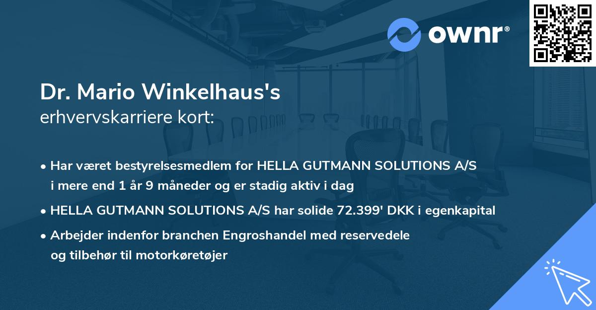 Dr. Mario Winkelhaus's erhvervskarriere kort