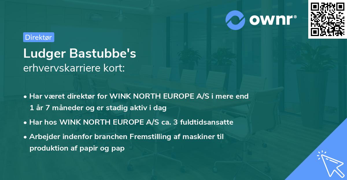 Ludger Bastubbe's erhvervskarriere kort