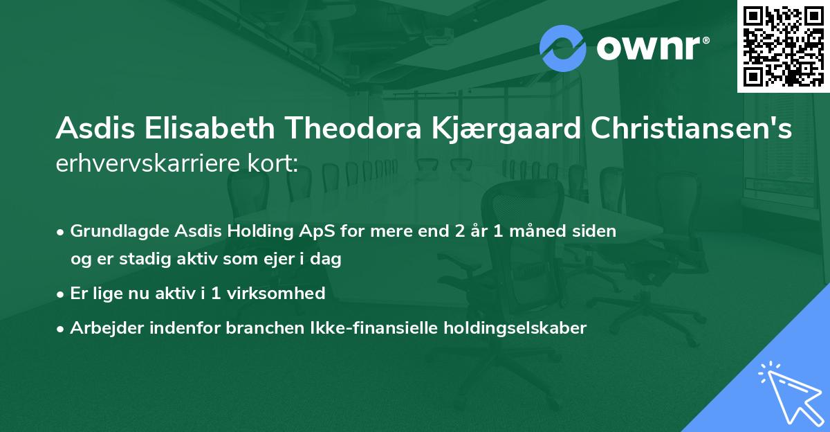 Asdis Elisabeth Theodora Kjærgaard Christiansen's erhvervskarriere kort