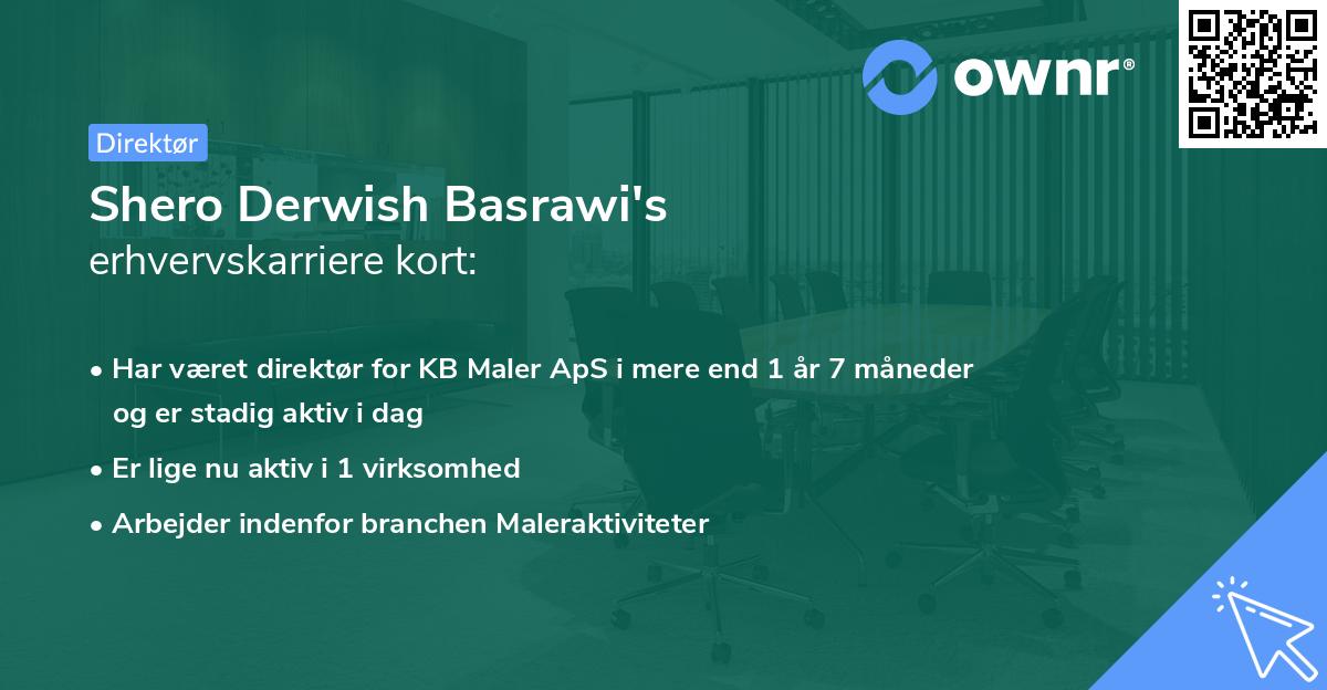 Shero Derwish Basrawi's erhvervskarriere kort