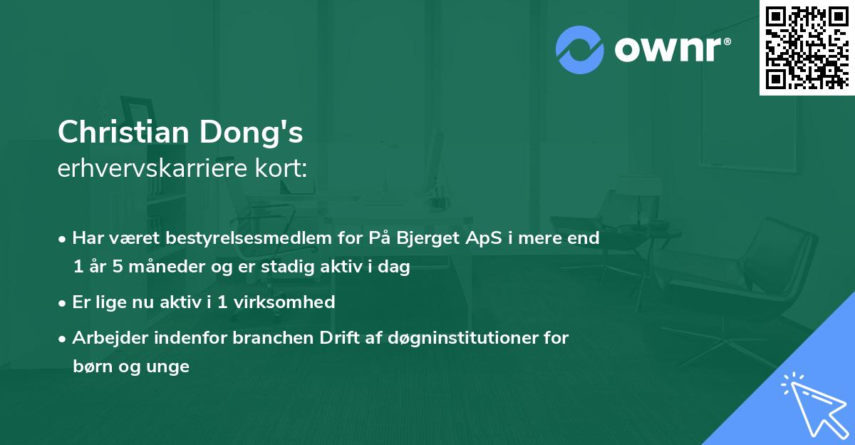 Christian Dong's erhvervskarriere kort