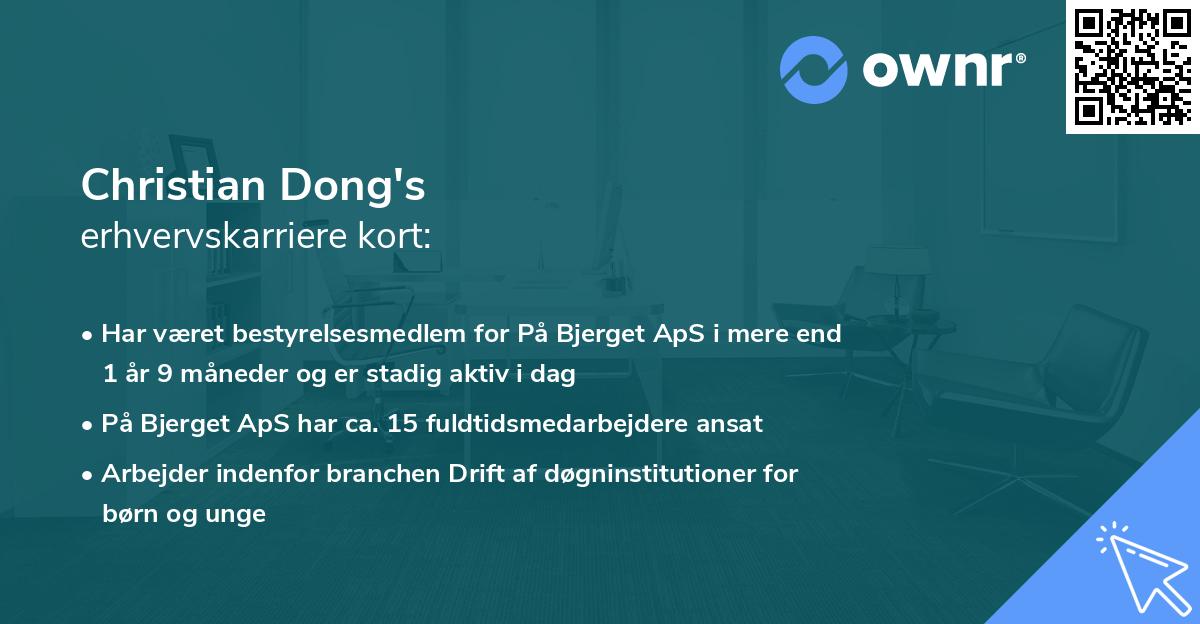 Christian Dong's erhvervskarriere kort