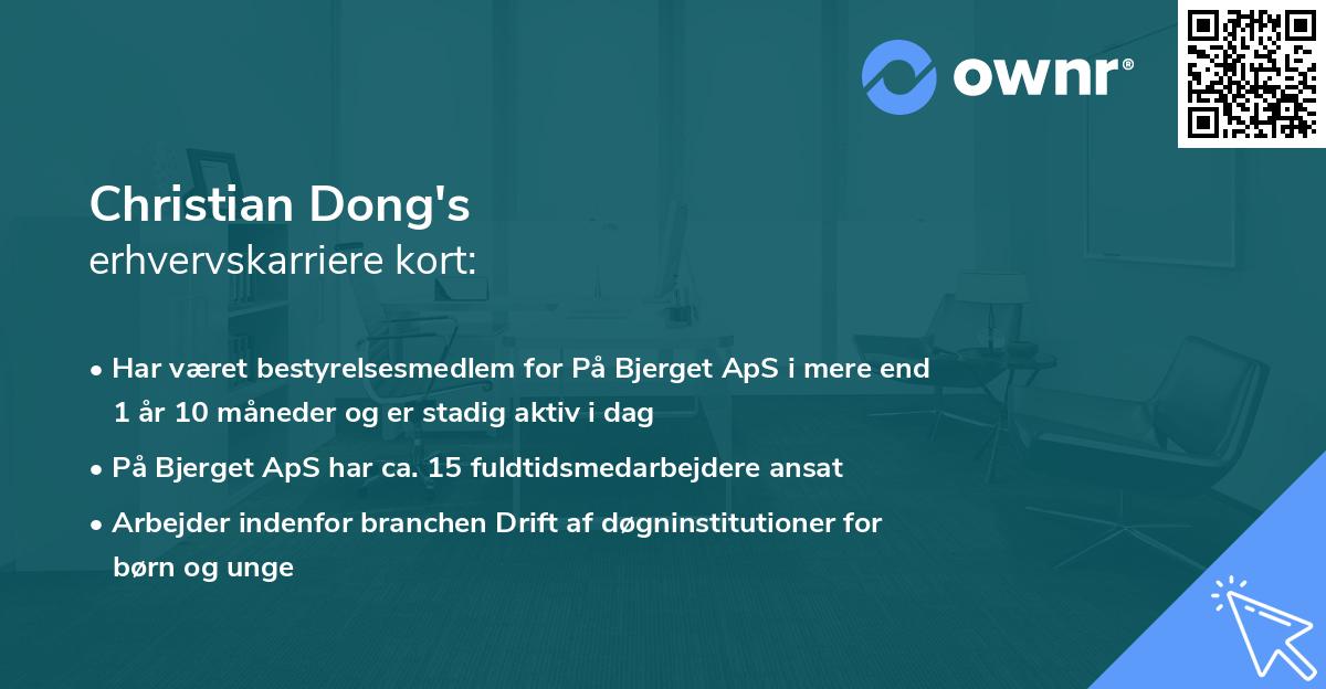 Christian Dong's erhvervskarriere kort