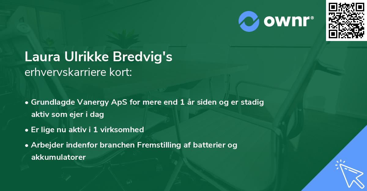 Laura Ulrikke Bredvig's erhvervskarriere kort