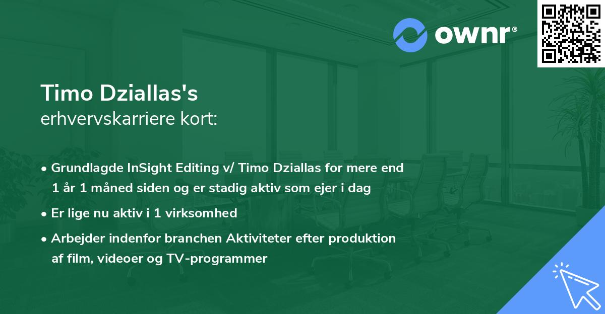 Timo Dziallas's erhvervskarriere kort