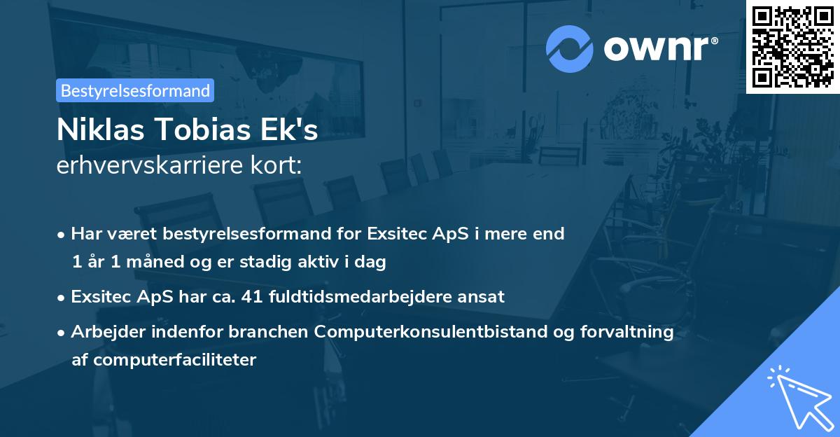 Niklas Tobias Ek's erhvervskarriere kort