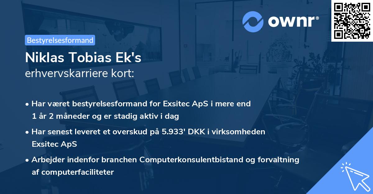 Niklas Tobias Ek's erhvervskarriere kort