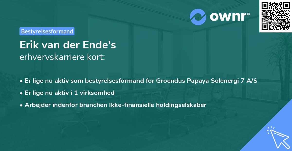 Erik van der Ende's erhvervskarriere kort