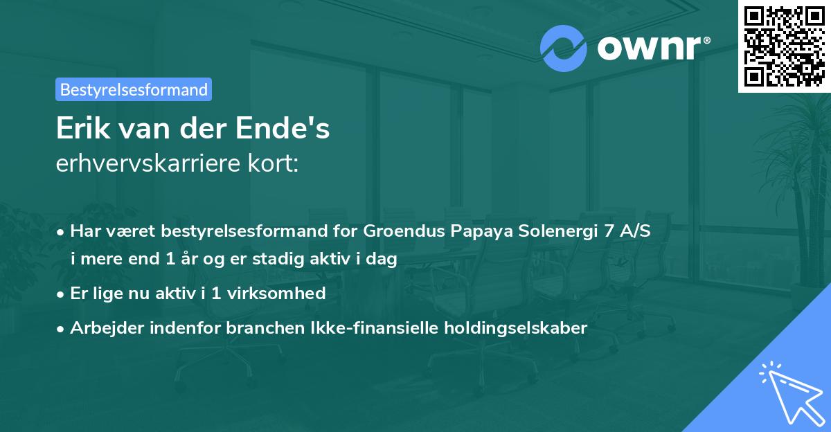 Erik van der Ende's erhvervskarriere kort