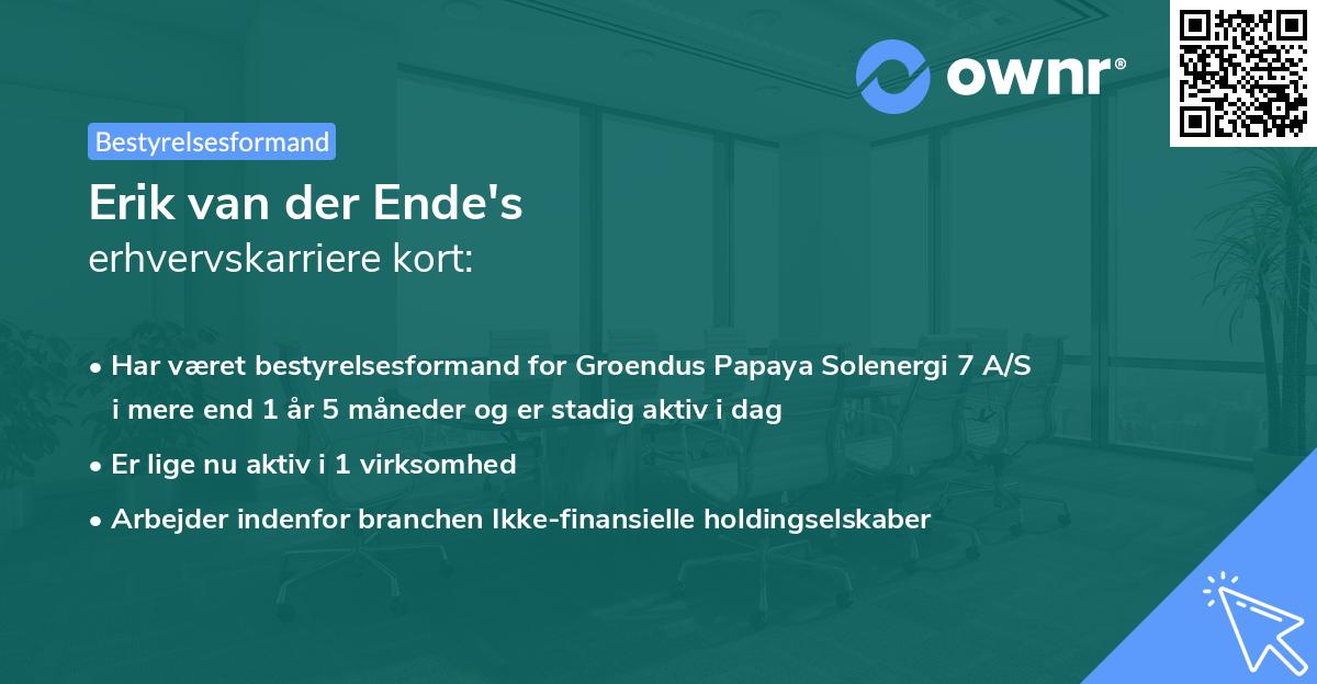 Erik van der Ende's erhvervskarriere kort