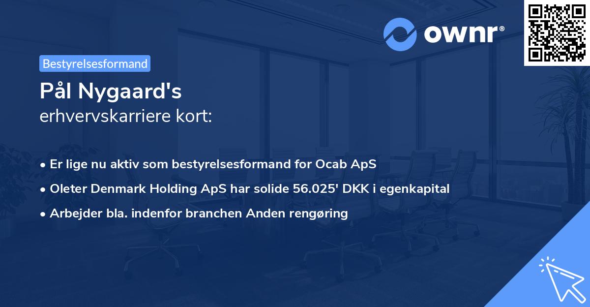 Pål Nygaard's erhvervskarriere kort