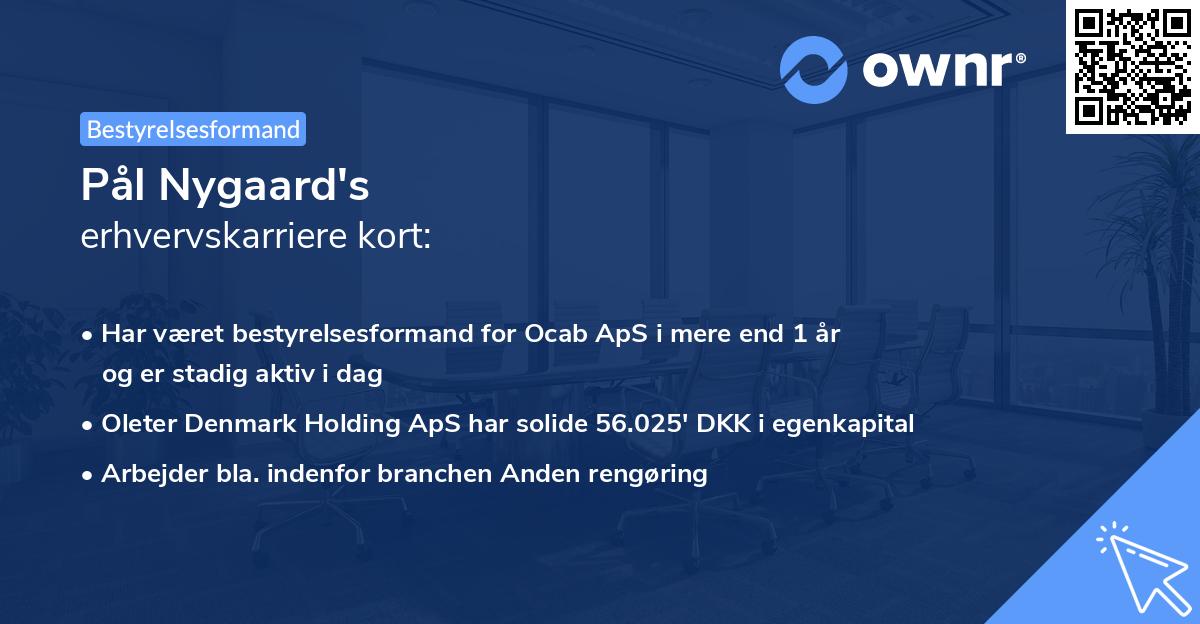 Pål Nygaard's erhvervskarriere kort