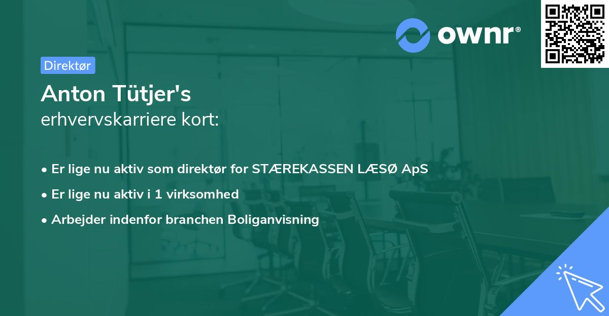 Anton Tütjer's erhvervskarriere kort