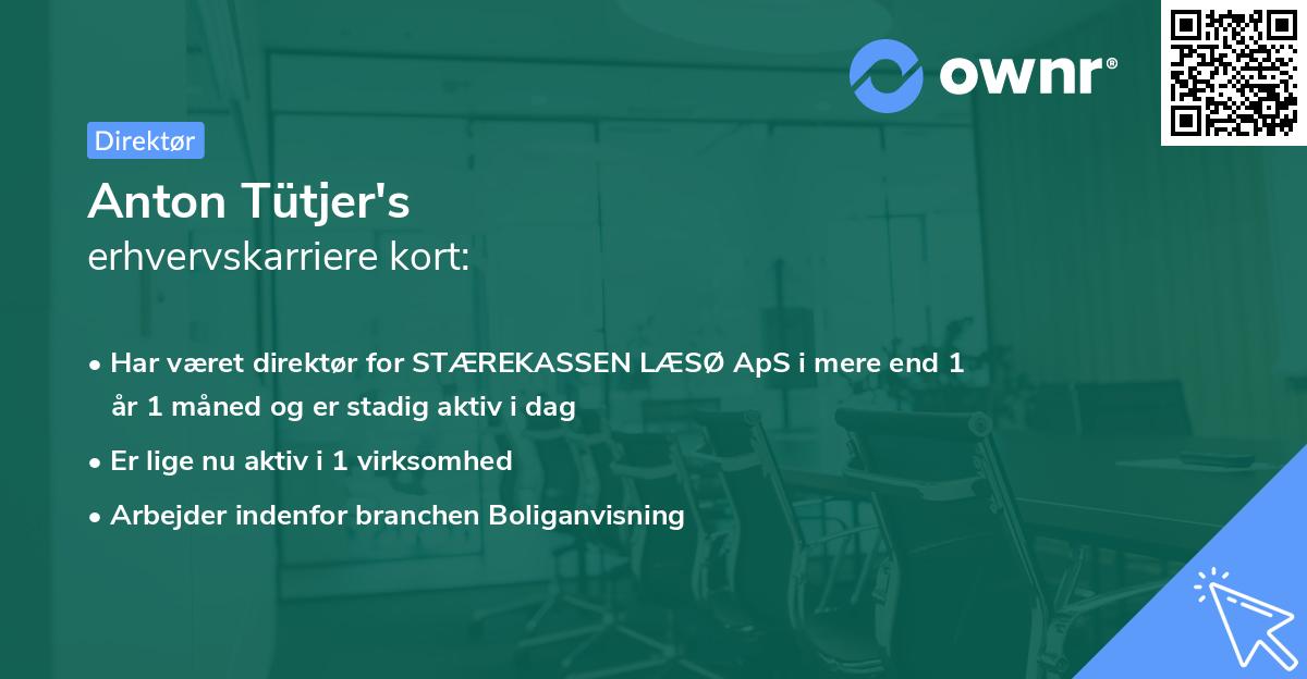 Anton Tütjer's erhvervskarriere kort