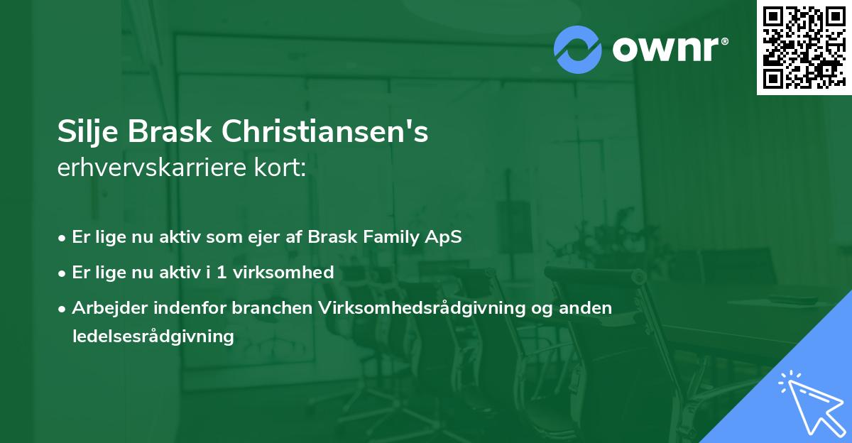 Silje Brask Christiansen's erhvervskarriere kort