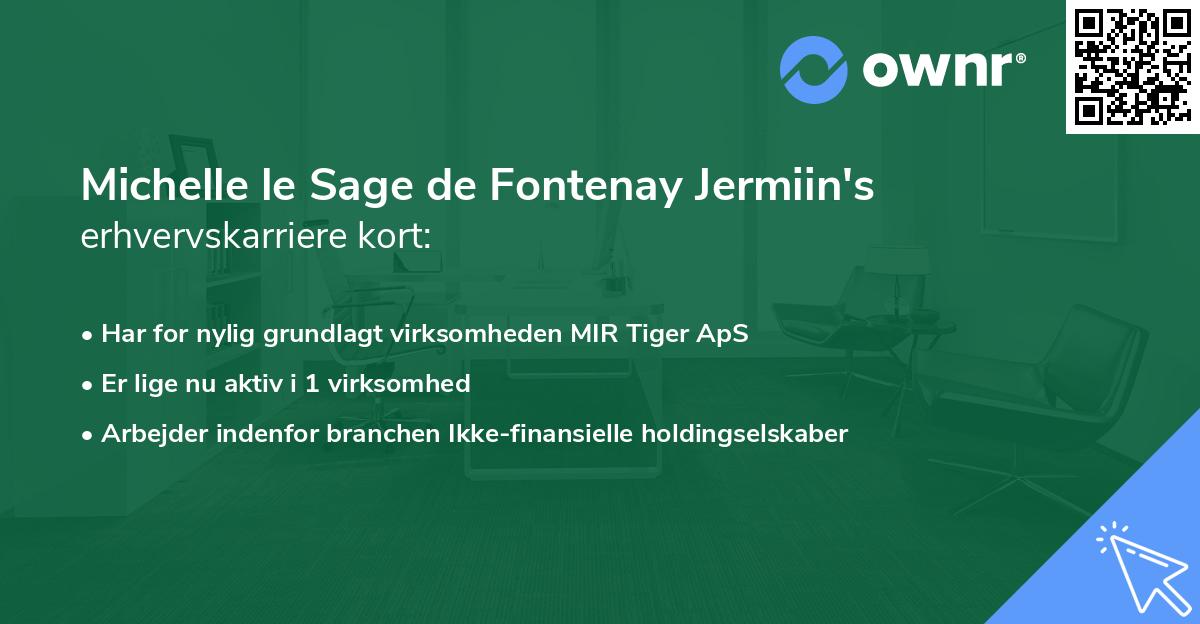 Michelle le Sage de Fontenay Jermiin's erhvervskarriere kort