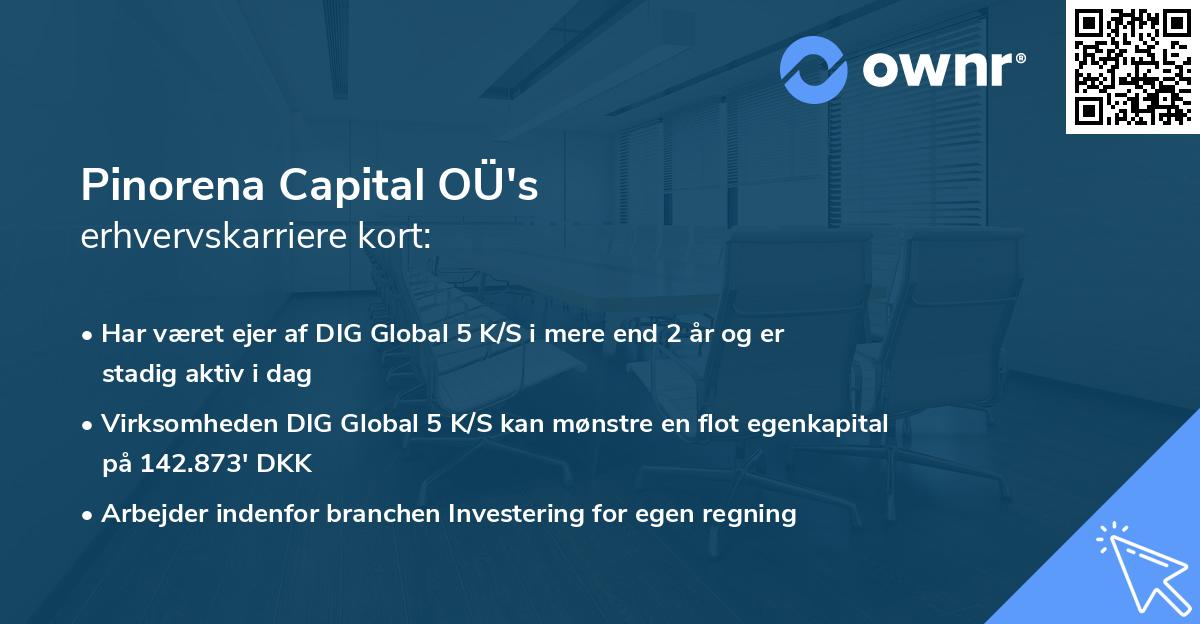 Pinorena Capital OÜ's erhvervskarriere kort